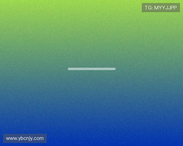 赛季变革与趋势解析：深度剖析体育赛季对球队战略与球迷文化的影响
